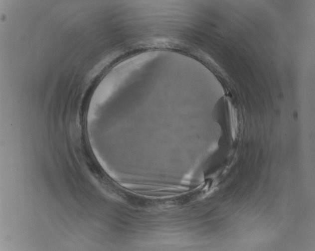 X0000073470674200608251758
