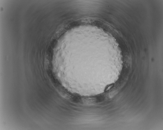 X0000073470707200608251757