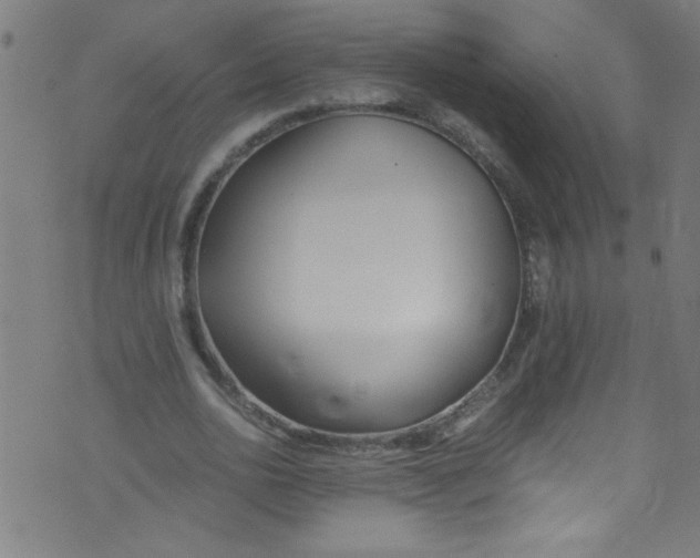 X0000073470726200608251756