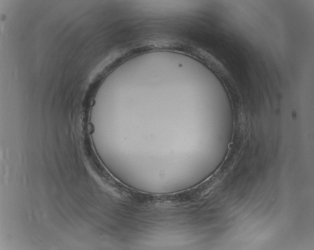 X0000073470730200608251756