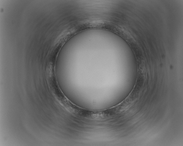 X0000073470744200608251756