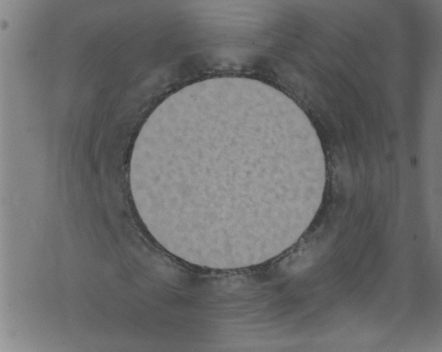 X0000073470769200608251756