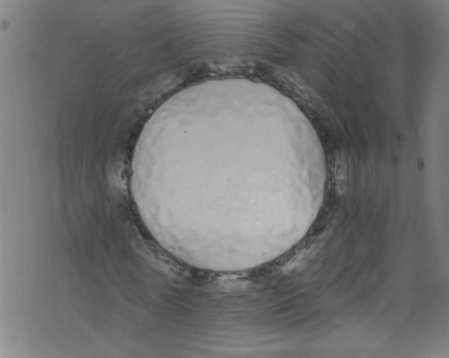 X0000073470770200608251756