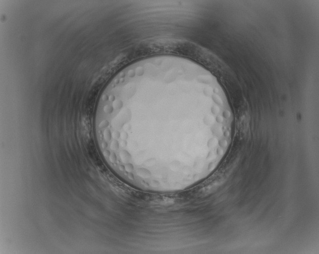 X0000073470772200608251756