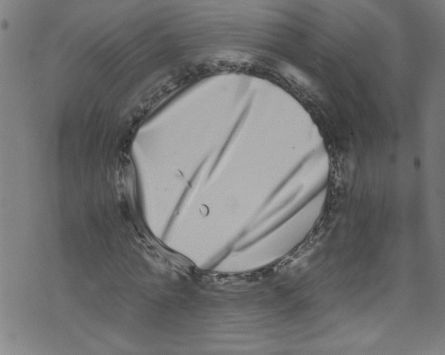 X0000073470774200608251756