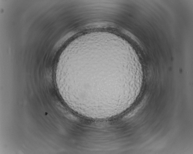 X0000073470778200608251756
