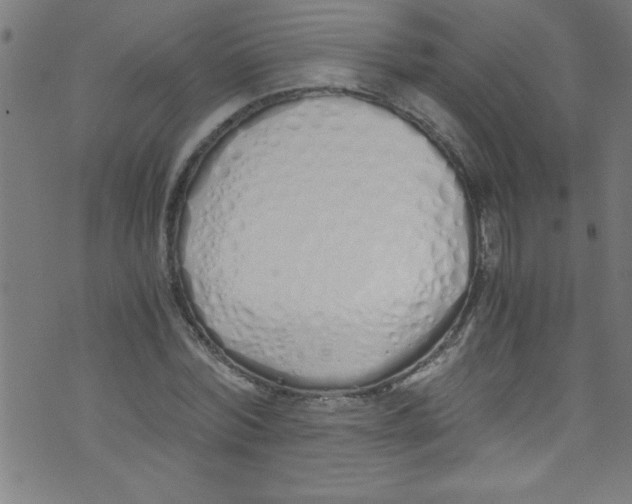 X0000073470780200608251756