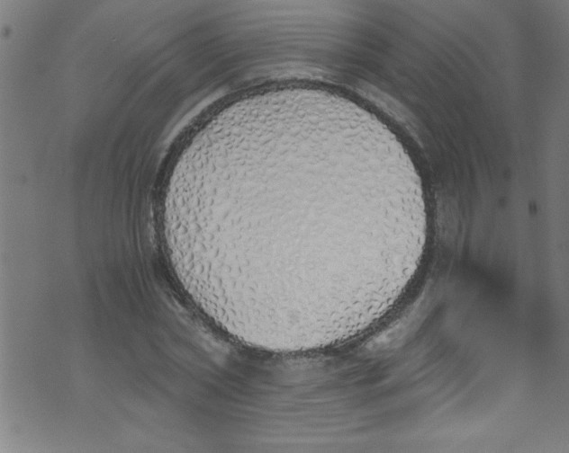 X0000073470782200608251756