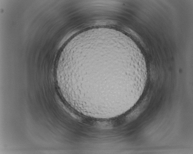X0000073470794200608251756