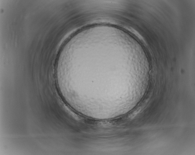 X0000073470799200608251755