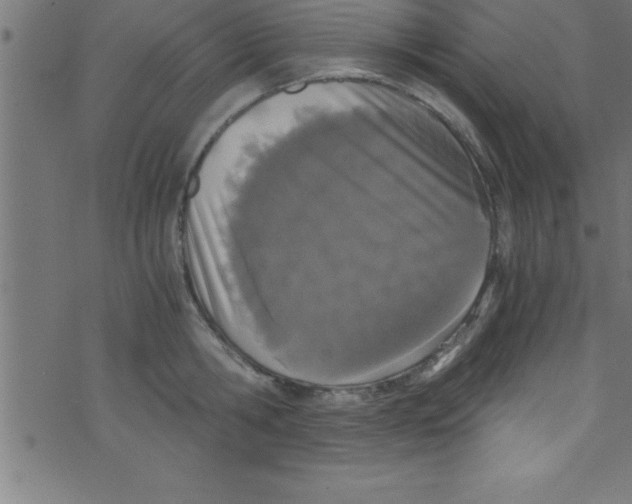 X0000073470806200608251755