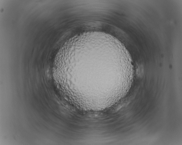 X0000073470819200608251754