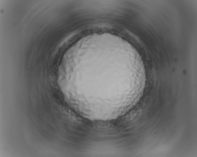 X0000073470823200608251755