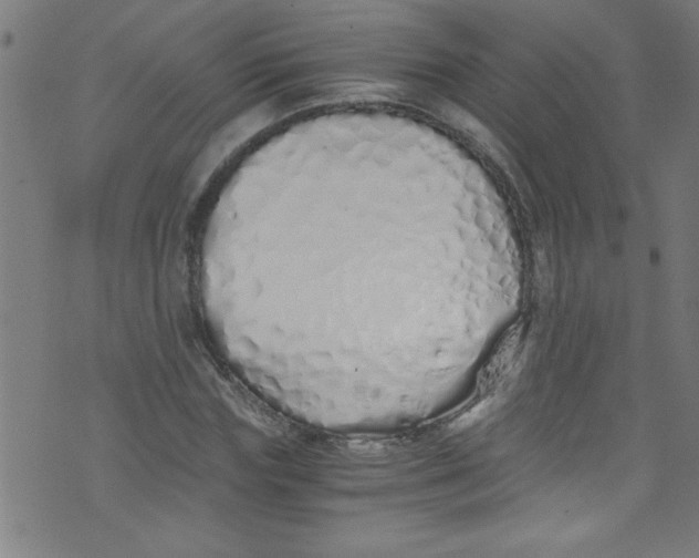 X0000073470827200608251755