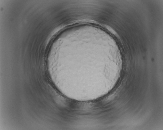 X0000073470831200608251755