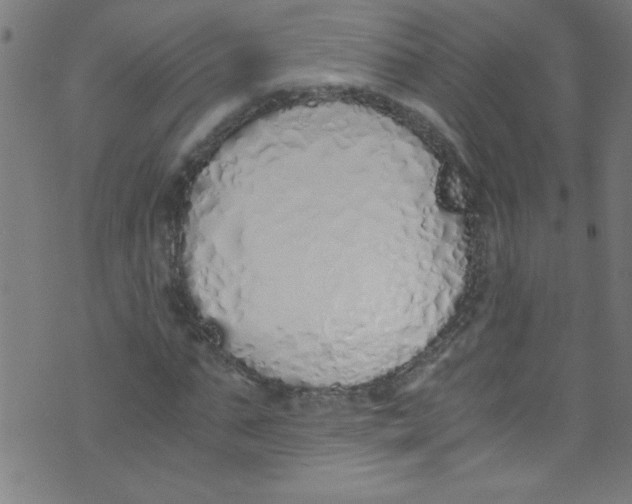 X0000073470871200608251754