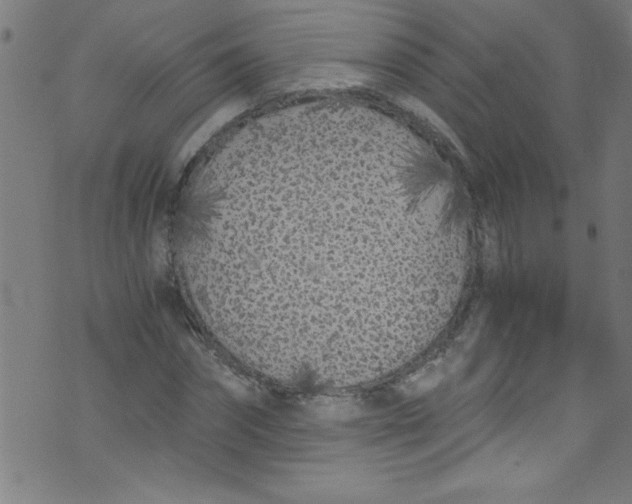 X0000073470874200608251754