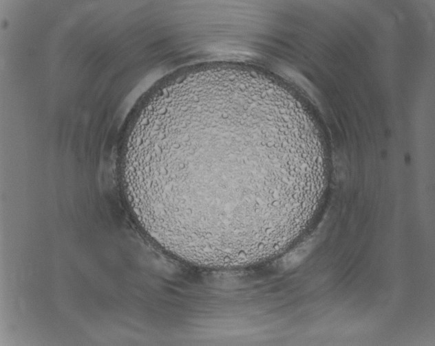X0000073470875200608251754
