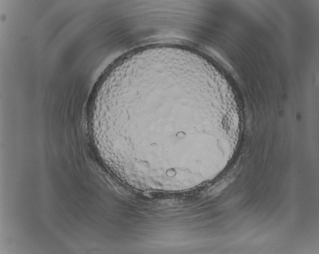 X0000073470883200608251754