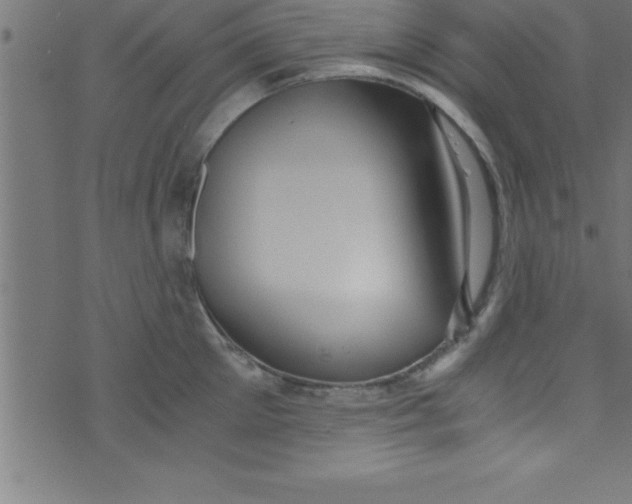 X0000073470905200608251754