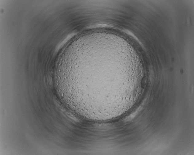X0000073470921200608251753