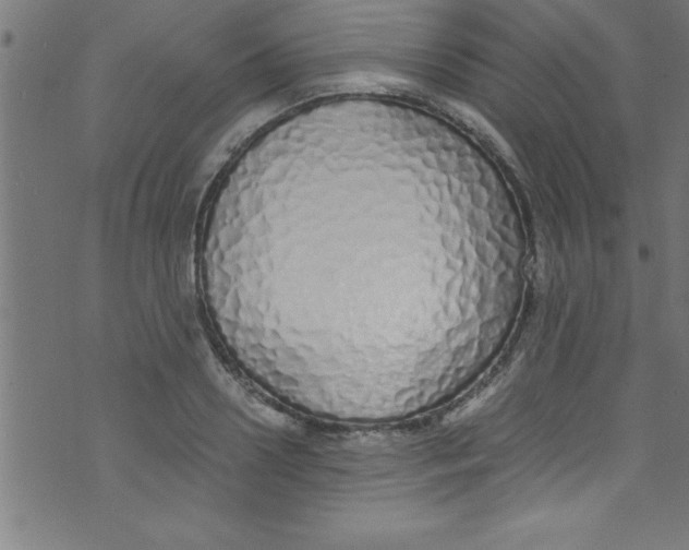 X0000073470938200608251753