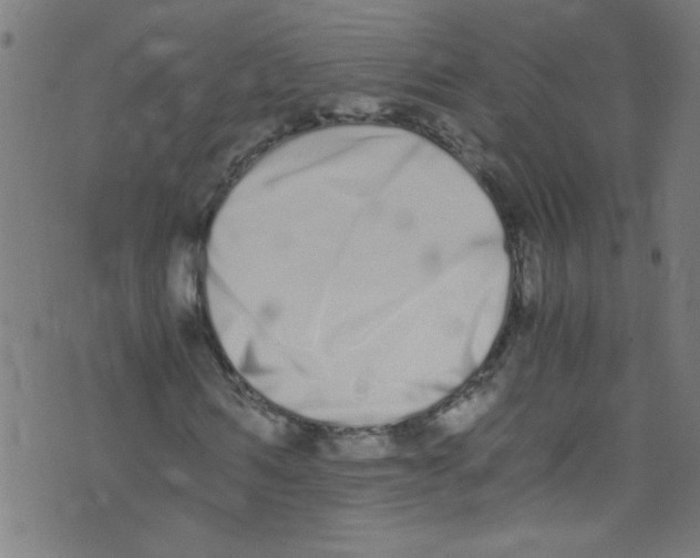 X0000073470962200608251753