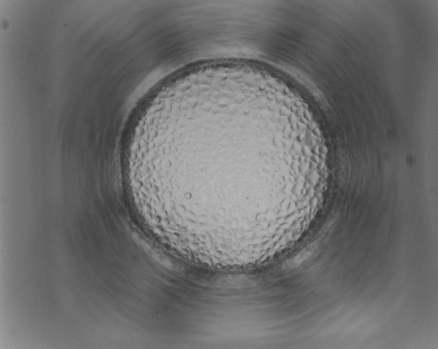X0000073470982200608251752