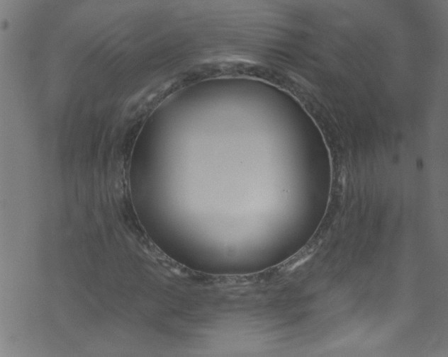 X0000073471014200608251751