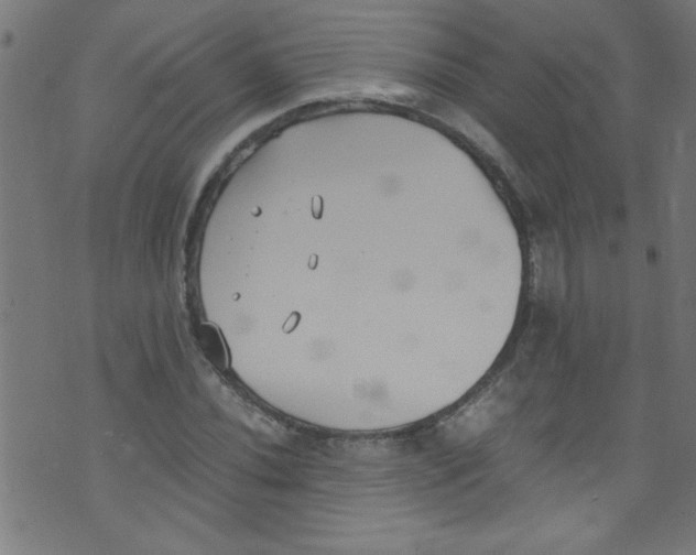 X0000073471020200608251751