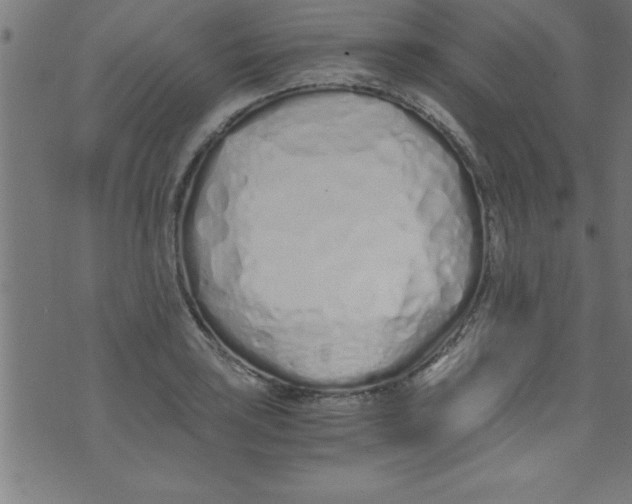 X0000073471035200608251752