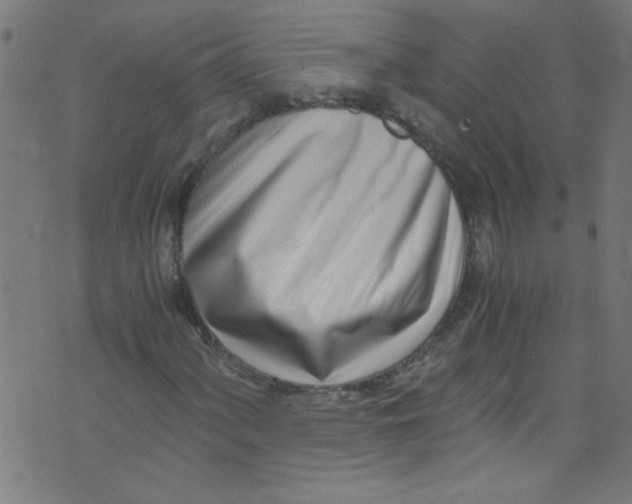 X0000073471060200608251751