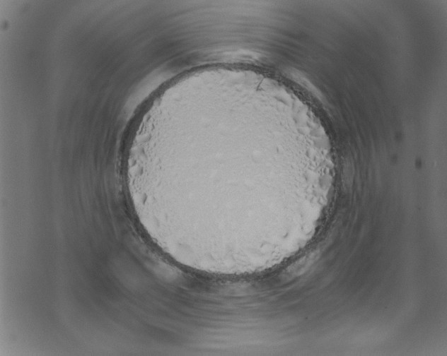 X0000073471071200608251751