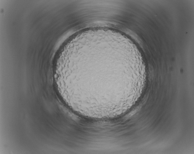 X0000073471075200608251751