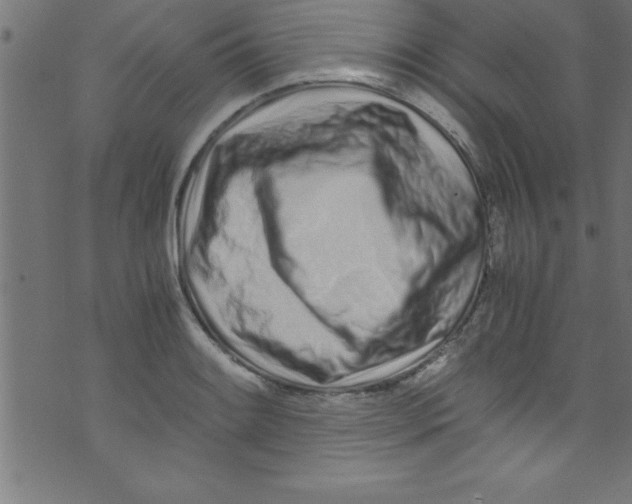 X0000073471084200608251751