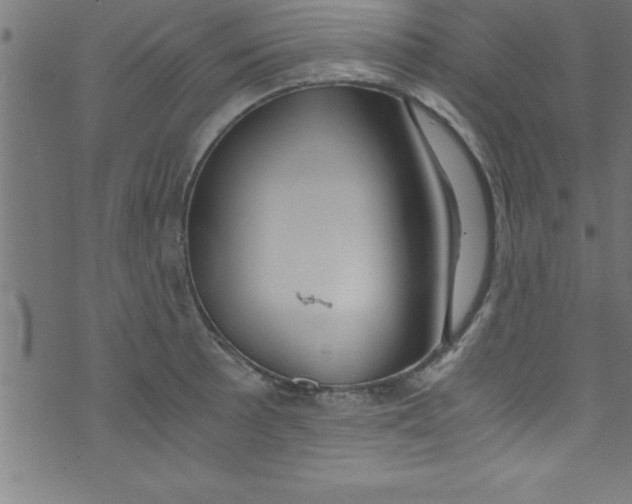 X0000073471089200608251751
