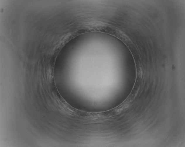 X0000073471108200608251750
