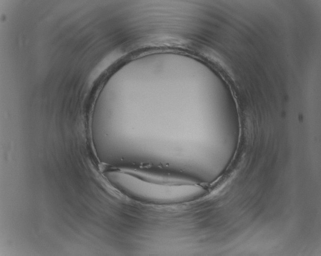 X0000073471114200608251750