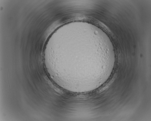 X0000073471178200608251749