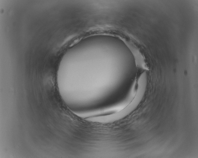 X0000073471206200608251748