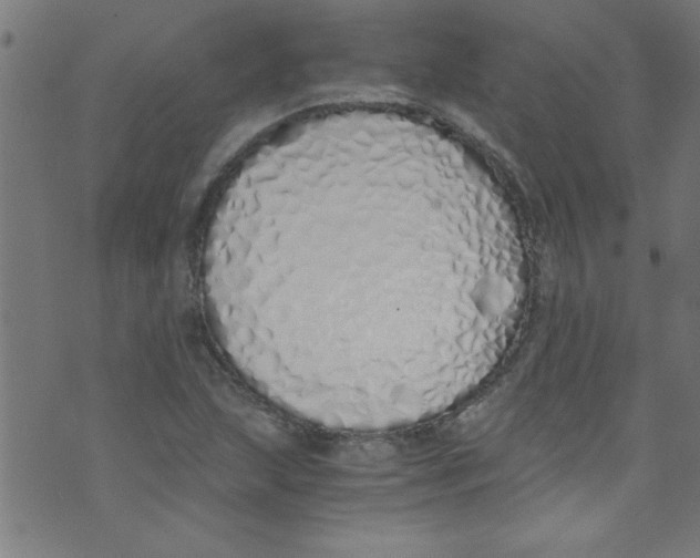 X0000073471215200608251748