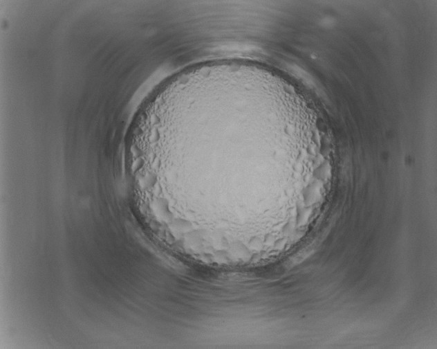 X0000073471275200608251748