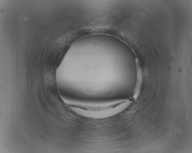 X0000073471300200608251747