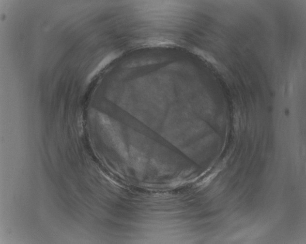 X0000073471306200608251747