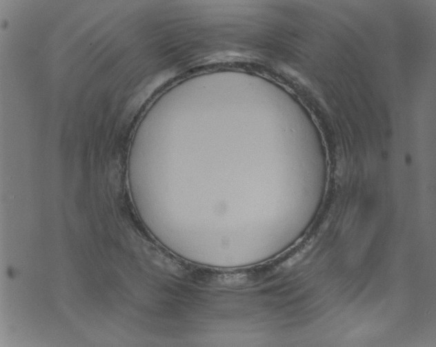 X0000073471313200608251747