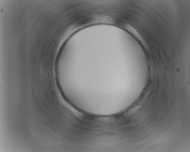 X0000073471339200608251747