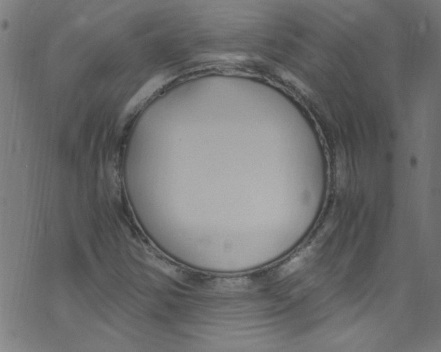 X0000073471354200608251746