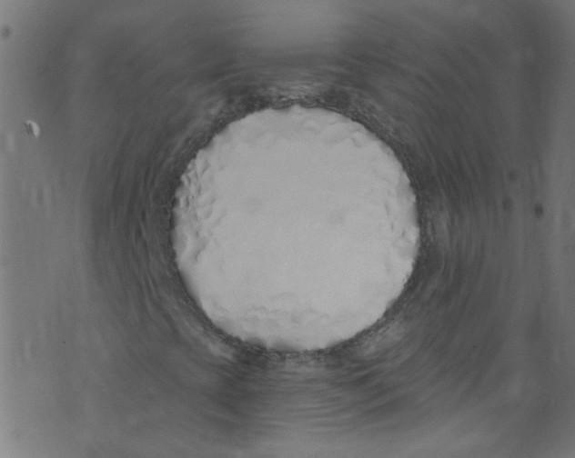 X0000073471393200608251745
