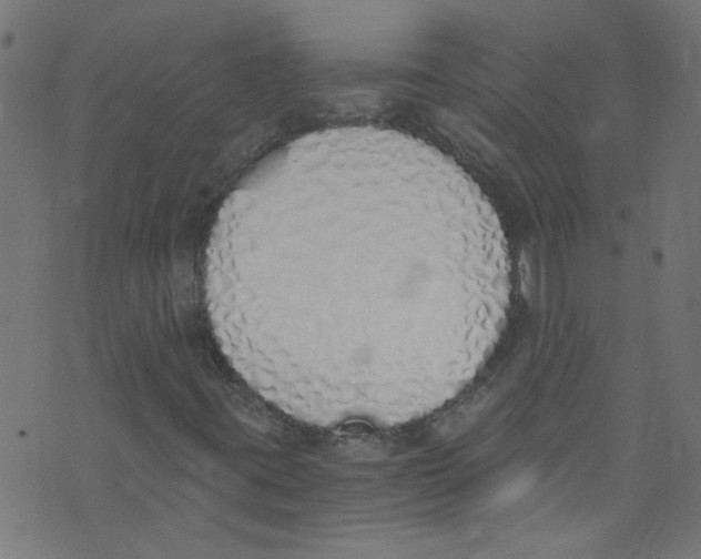 X0000073471395200608251745
