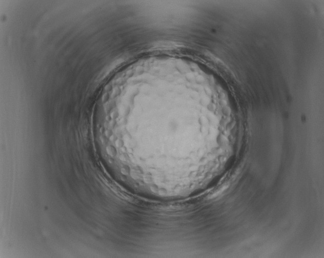 X0000073471401200608251745
